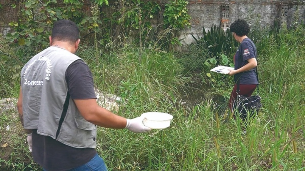 Criciúma registra, até o momento, 37 notificações de casos suspeitos de dengue em 2026