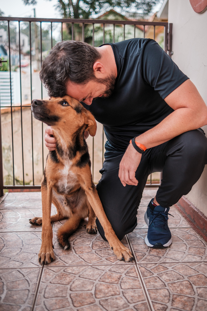 Deputado Marcius Machado apresenta moção em apoio a projeto que prevê cassação da CNH por abandono de animais