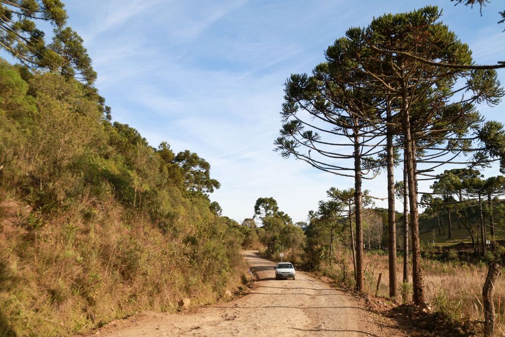 SC terá manhãs frias e tardes de calor neste fim de semana