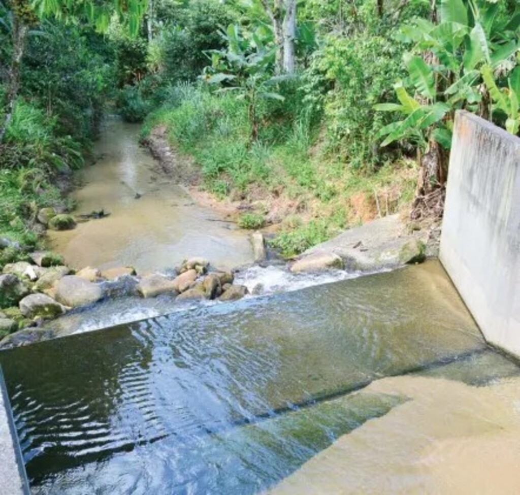 Trabalhos de preservação ambiental mantém água potável livre de agrotóxicos em São Francisco do Sul