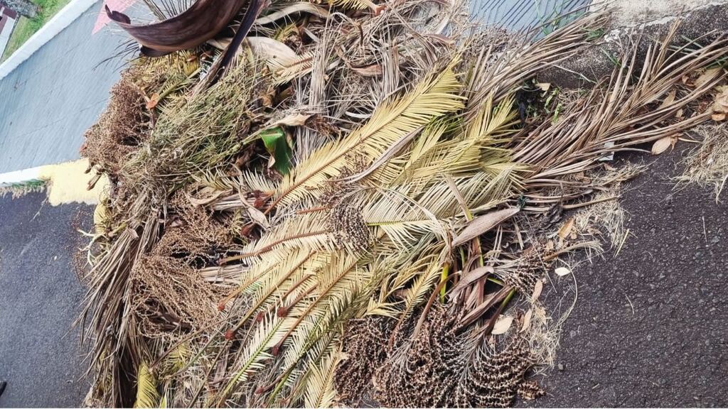 Secretaria reforça que município não fará recolha de resíduos de áreas particulares