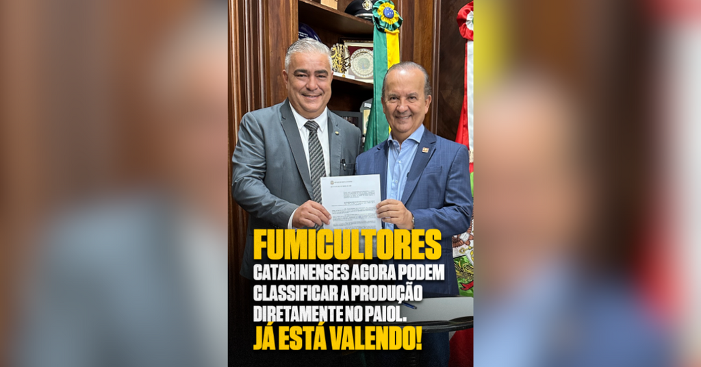 Produtor de fumo em Santa Catarina ganha força na negociação com sanção de lei que permite classificação na propriedade rural