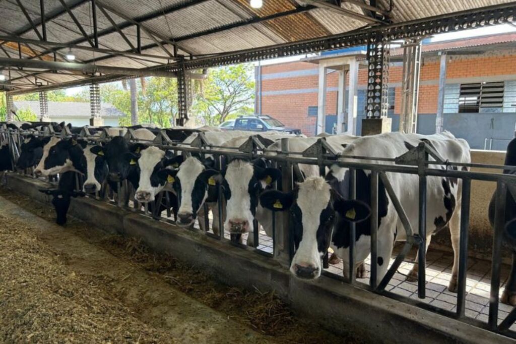 Mais de R$ 4,5 milhões são movimentados no 1º dia de operações do Pronampe Leite Custeio de SC