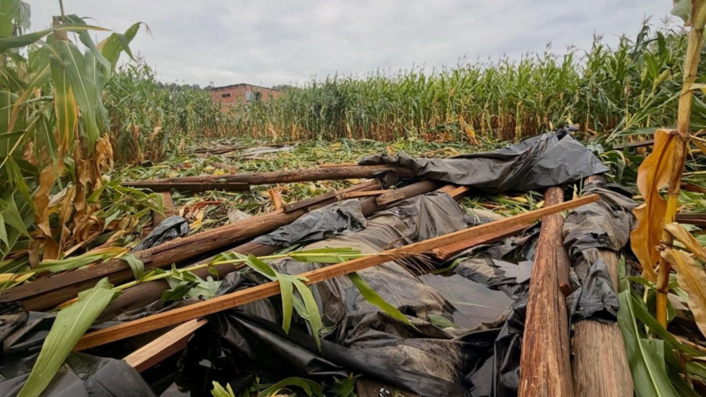 Canoinhas terá auxílio financeiro para agricultores atingidos por eventos climáticos extremos