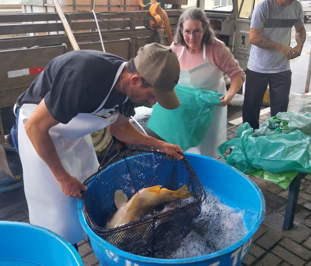 Tradicional Feira do Peixe Vivo começa a ser preparada em Lages