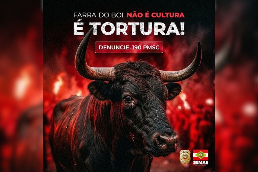 Santa Catarina reforça combate à farra do boi em Santa Catarina com multas de até R$ 20 mil