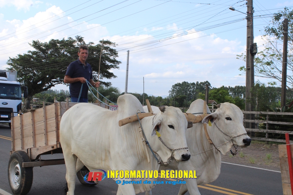 GRUPO AMIGOS DO CARRO DE BOI PARTE DE VILA SANTA CATARINA PARA O 2° ENCONTRO DE CARRO DE BOI 