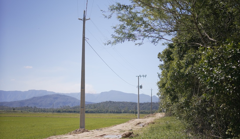 Ampliação da rede trifásica fortalece produção rural em Santa Catarina