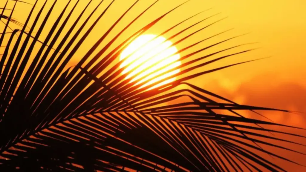 Semana começa com sol, calor e possibilidade de temporais em Santa Catarina