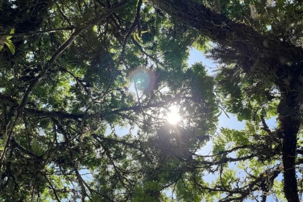 Temporais em Santa Catarina marcam a última semana do verão