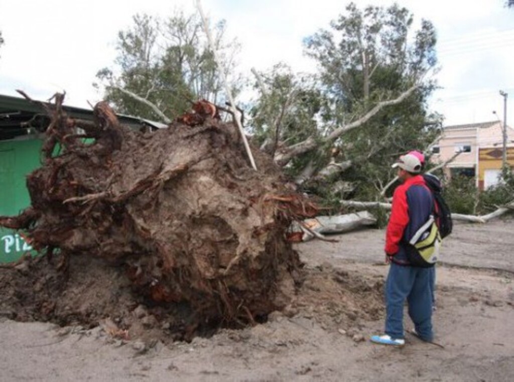 Ventos causam estragos em Pelotas