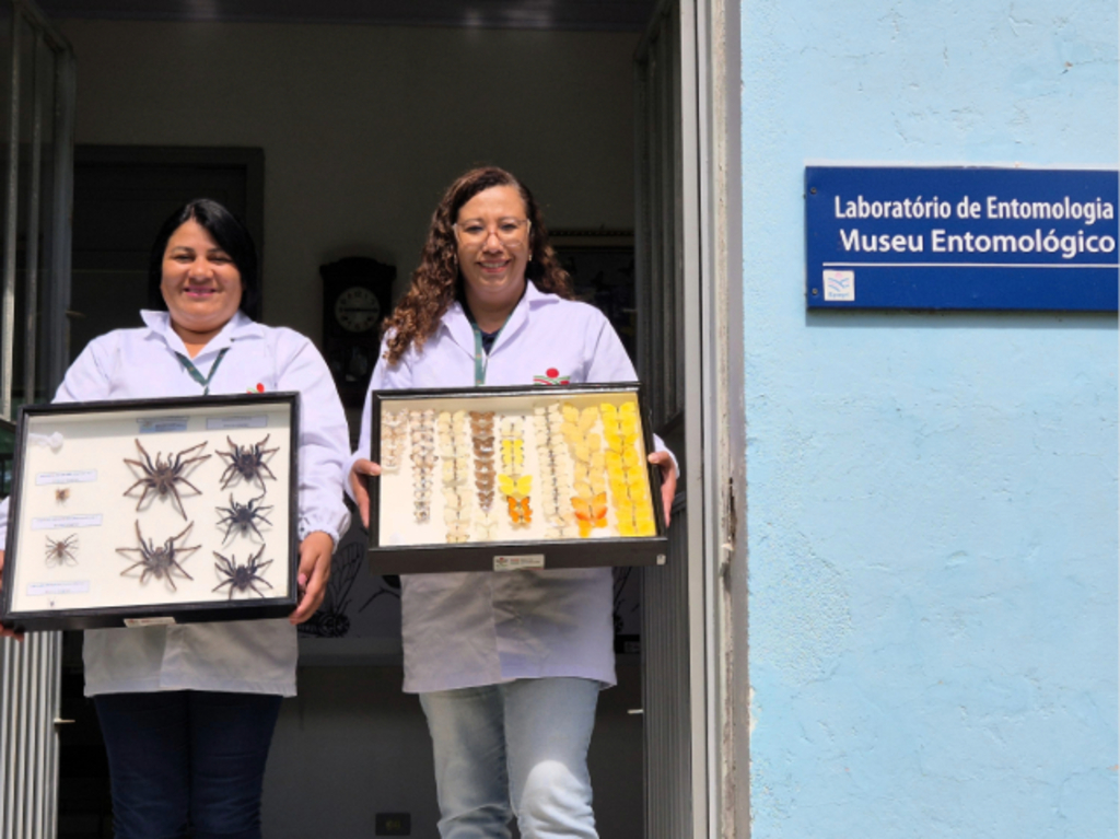 Museu Entomológico de Caçador aproxima Epagri da comunidade, educa sobre a natureza e qualifica profissionais