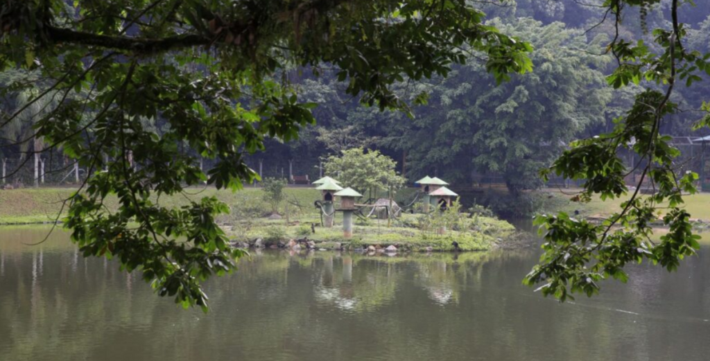Semana da Água promove palestras, trilhas na mata, oficinas e outras atividades de educação ambiental em Joinville