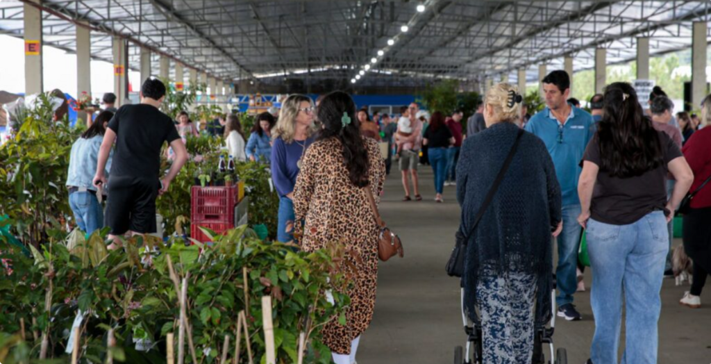 Feira Direto do Campo celebra o outono com sabores e produtos frescos em Joinville