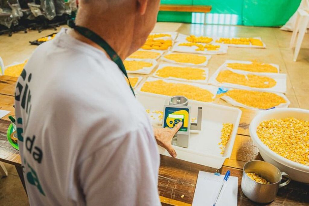 Sicoob e Epagri realizam segunda fase do Giro da Safra do milho em Campos Novos