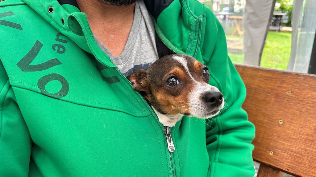 Sancionada lei de controle de ruídos para proteção de pessoas com sensibilidade auditiva e bem-estar animal