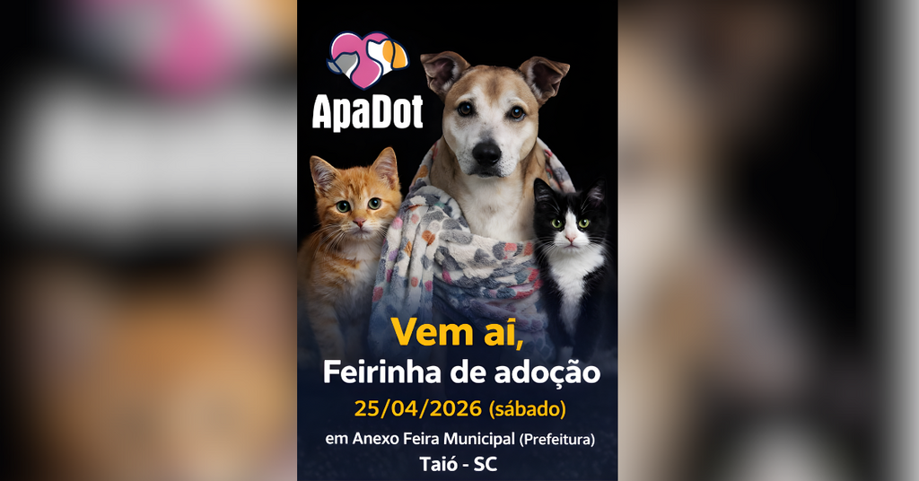 Feirinha da APADOT: Taió recebe evento de adoção para dar um novo lar a animais abandonados