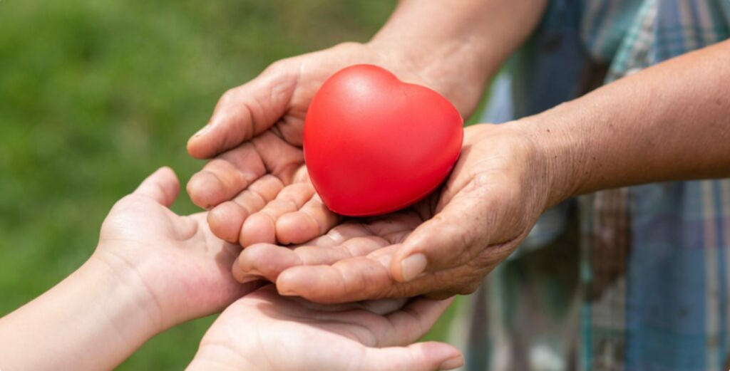 Saiba como destinar parte do Imposto de Renda para projetos em Joinville