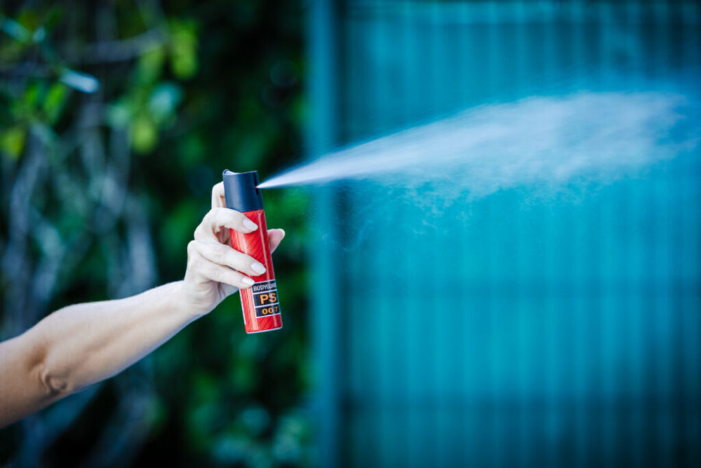 Plenário aprova fornecimento de spray de pimenta a mulheres sob medida protetiva