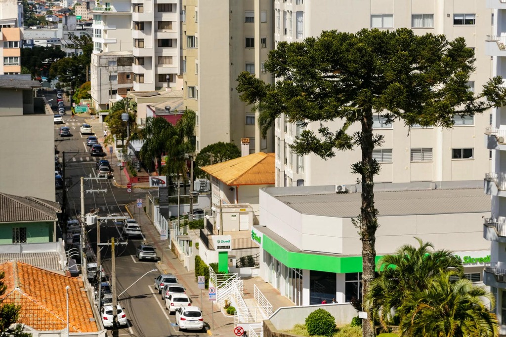 Lages convida para a Abertura da Colheita do Pinhão