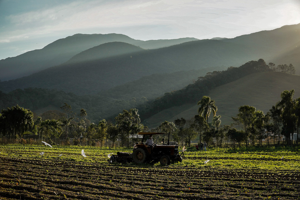Governo de Santa Catarina inicia transição para o CAR Digital