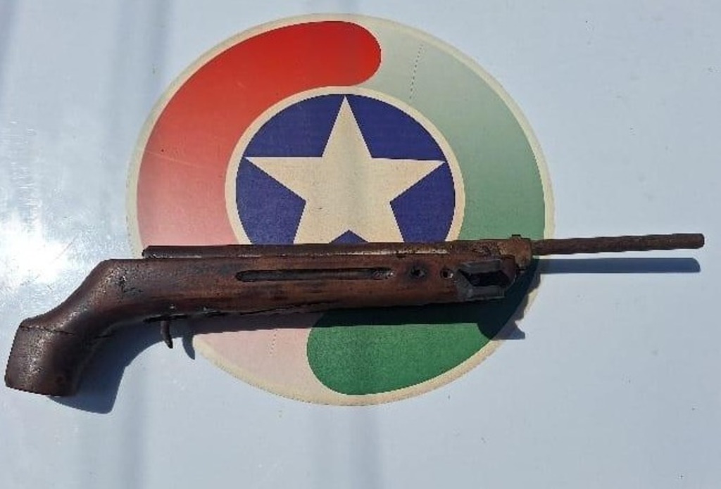  - IMAGEM DIVULGAÇÃO