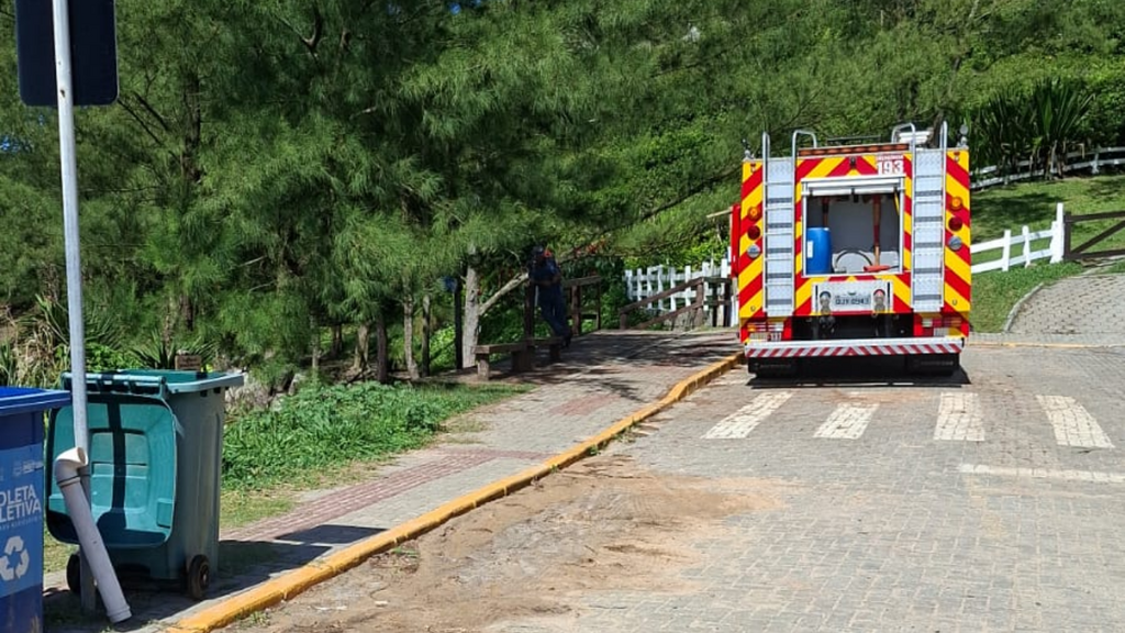 Imagem Reprodução Redes Sociais - 