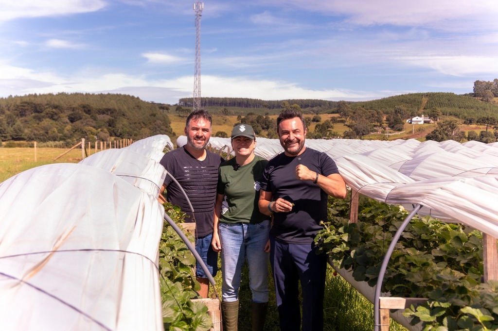 Em defesa do agricultor, deputado Marcius Machado propõe revisão de portaria do morango