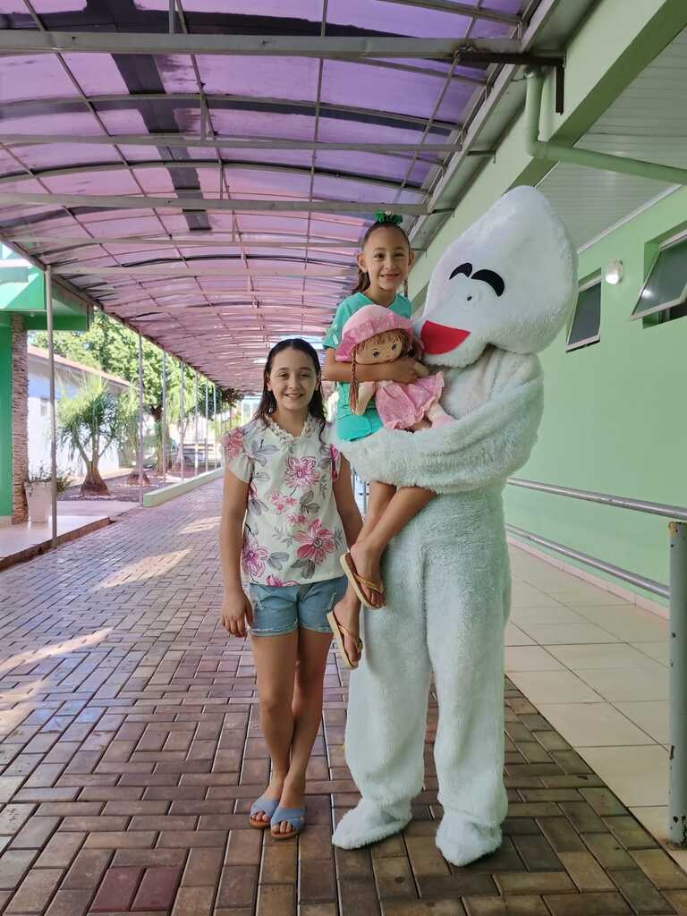 Foto: Divulgação - 