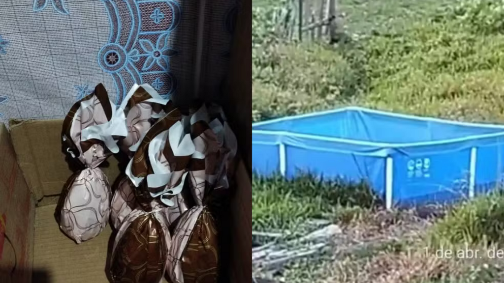 Suspeito de exploração sexual usava doces e objetos para atrair e chantagear vítimas em SC