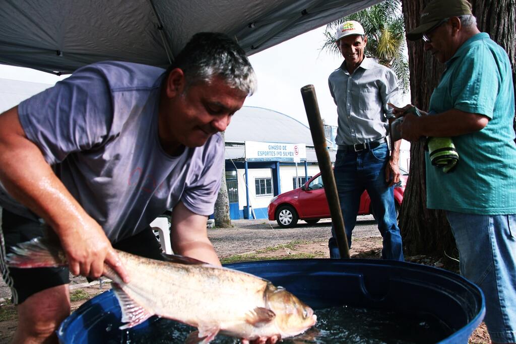 Feira da Semana Santa venderá seis toneladas de peixe vivo