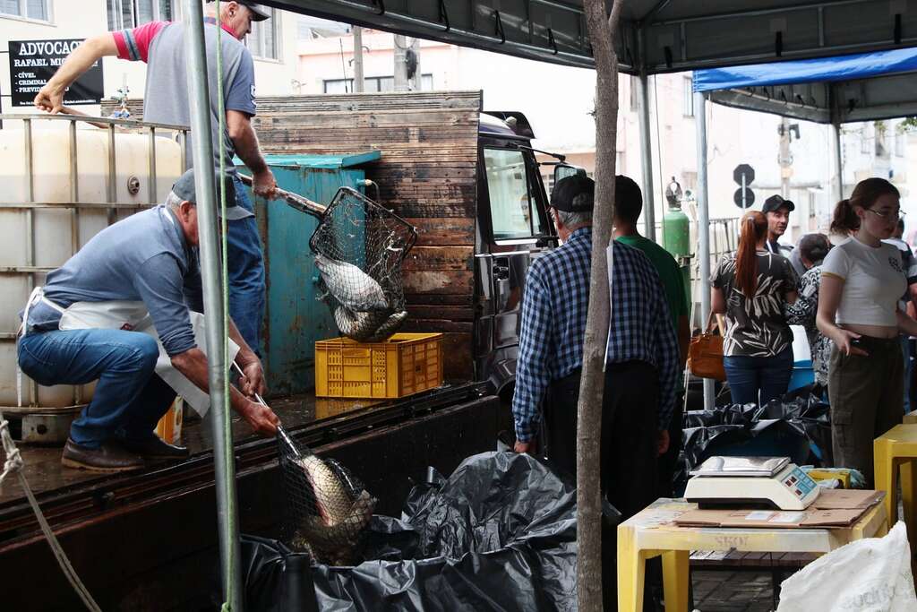 Feira da Semana Santa venderá seis toneladas de peixe vivo