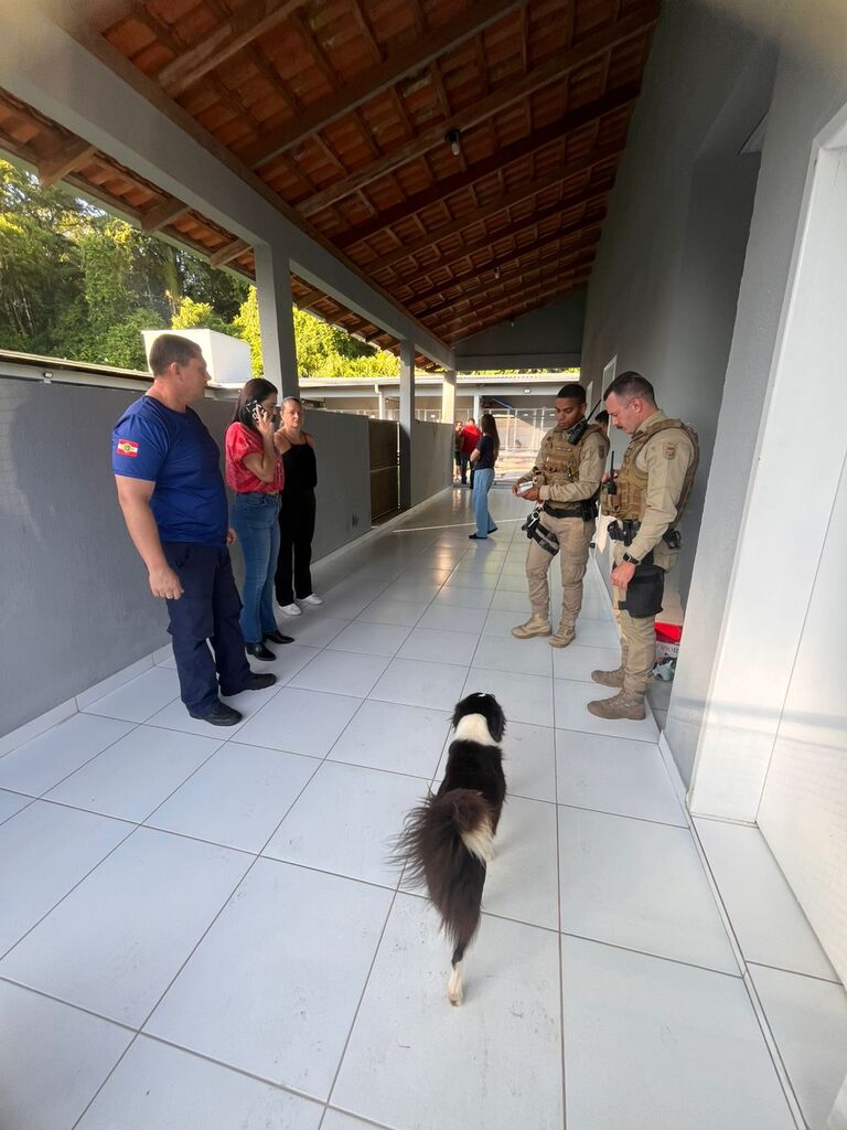 Recomendação feita pelo MPSC ao Município de São Francisco do Sul visa proteger os animais