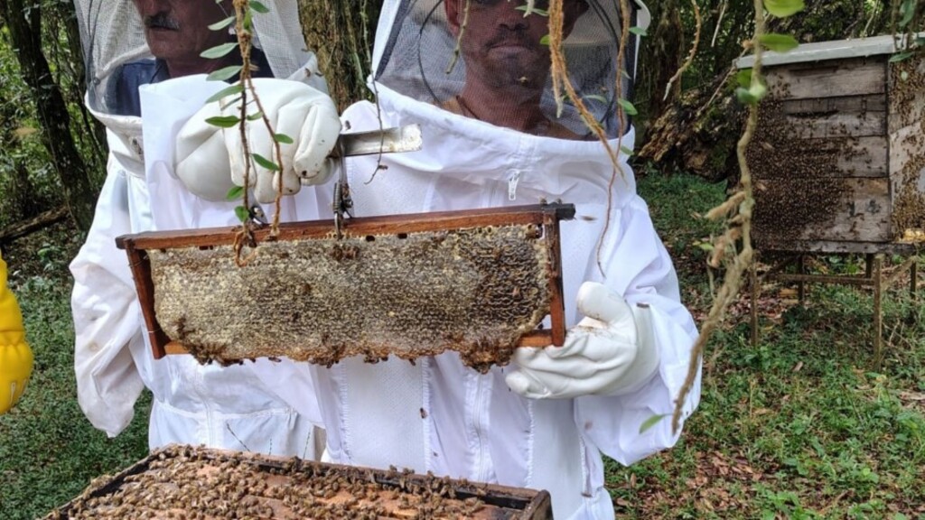 COLHEITA DE MEL NO RS SE APROXIMA DO FINAL