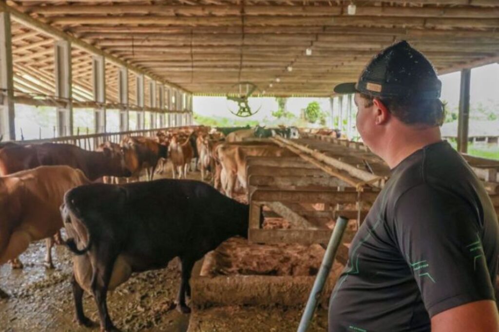 Pronampe Leite BRDE/SC fecha o primeiro mês com R$83,8 milhões em operações