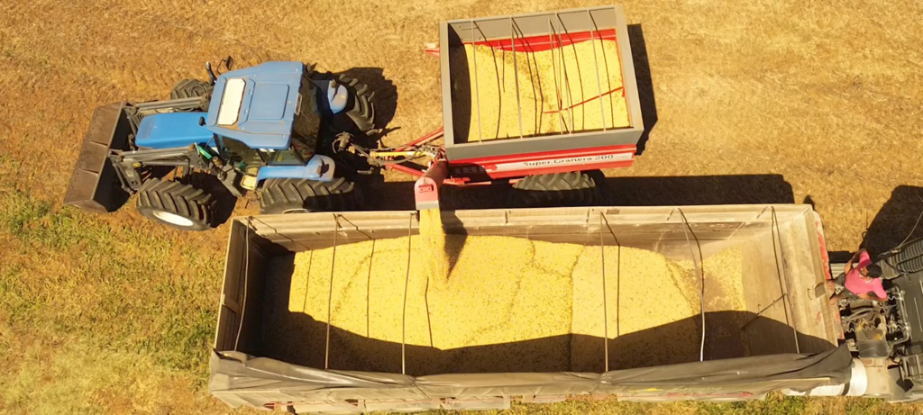 28 de março de 2026, Localidade Vila Aparecida