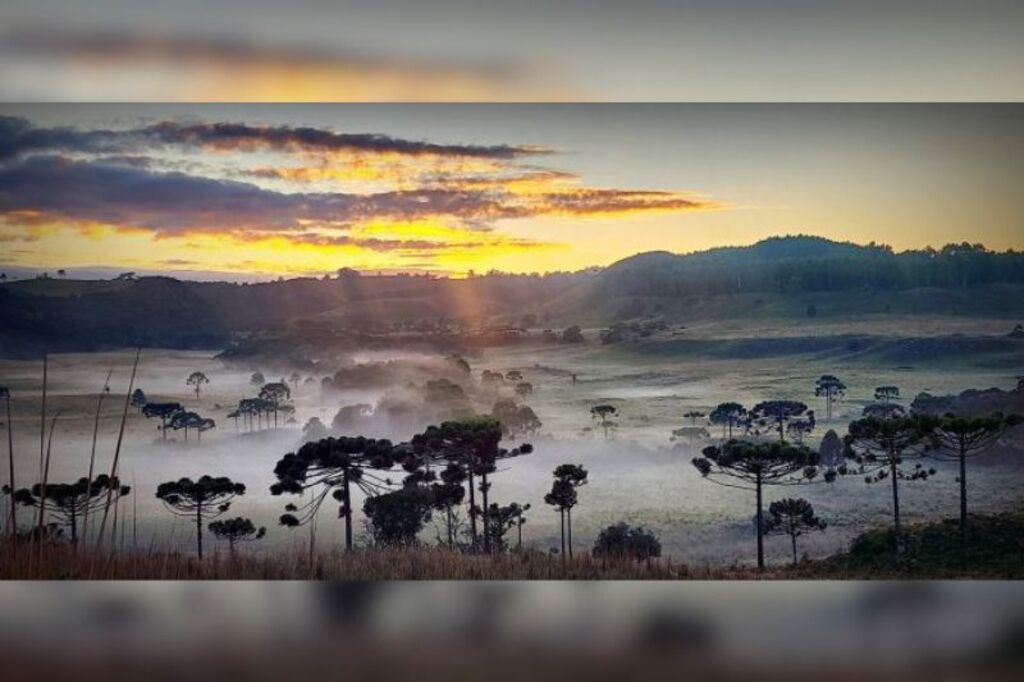Primeira geada em São Joaquim de abril marca o início do período de frio na Serra Catarinense