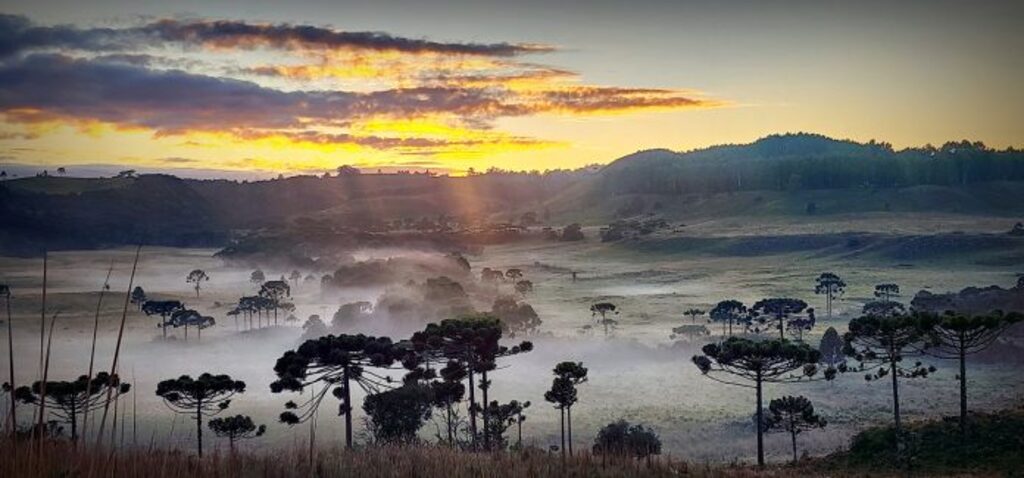 Primeira geada de abril é registrada e marca início do período de frio na Serra Catarinense