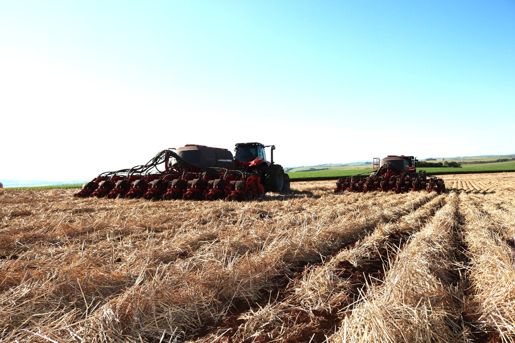 Campos Novos lidera ranking estadual em área de soja
