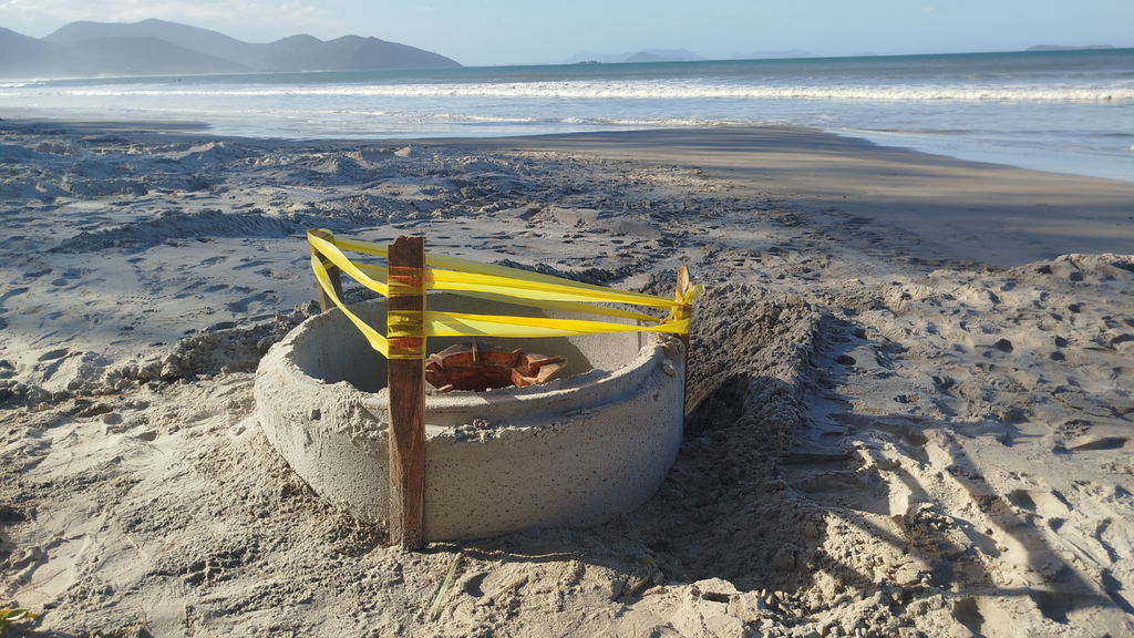 Imagem principal artigo