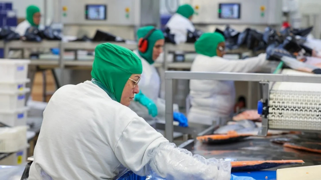 Imagem principal artigo