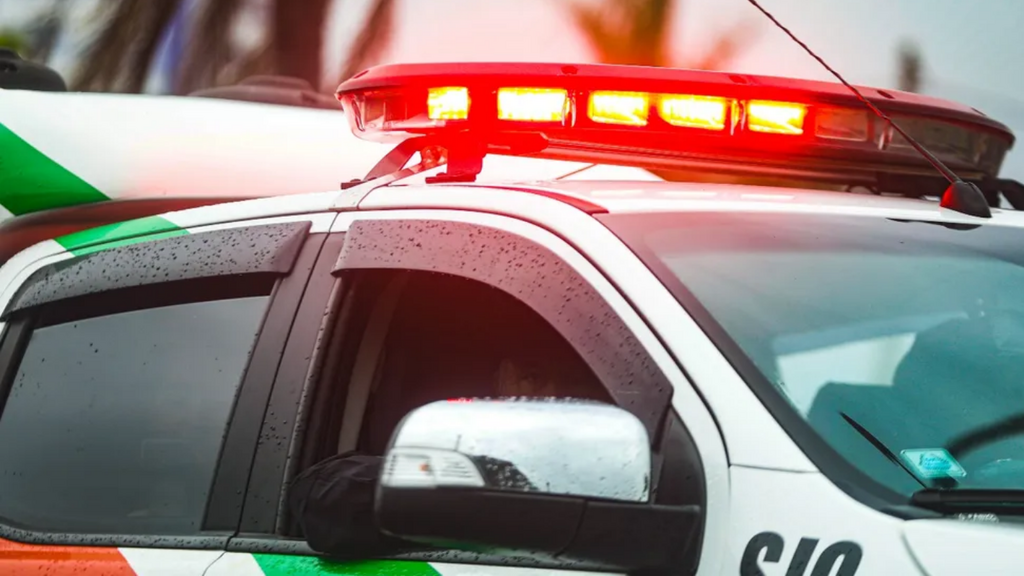 Imagem Reprodução Internet - Mulher é esfaqueada dentro de casa em tentativa de feminicídio em SC