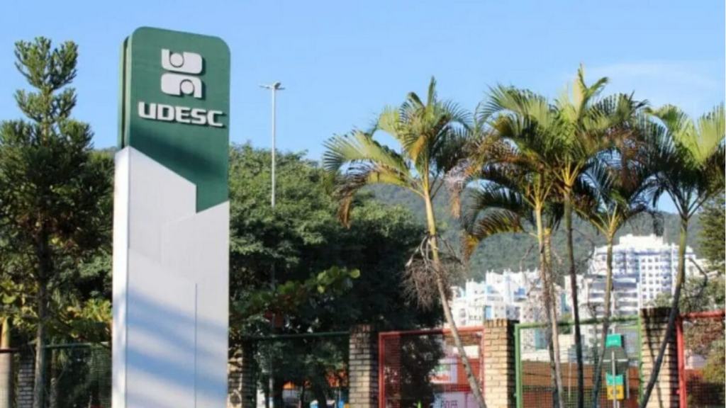 STF forma maioria contra lei de SC que proíbe cotas raciais em universidades estaduais