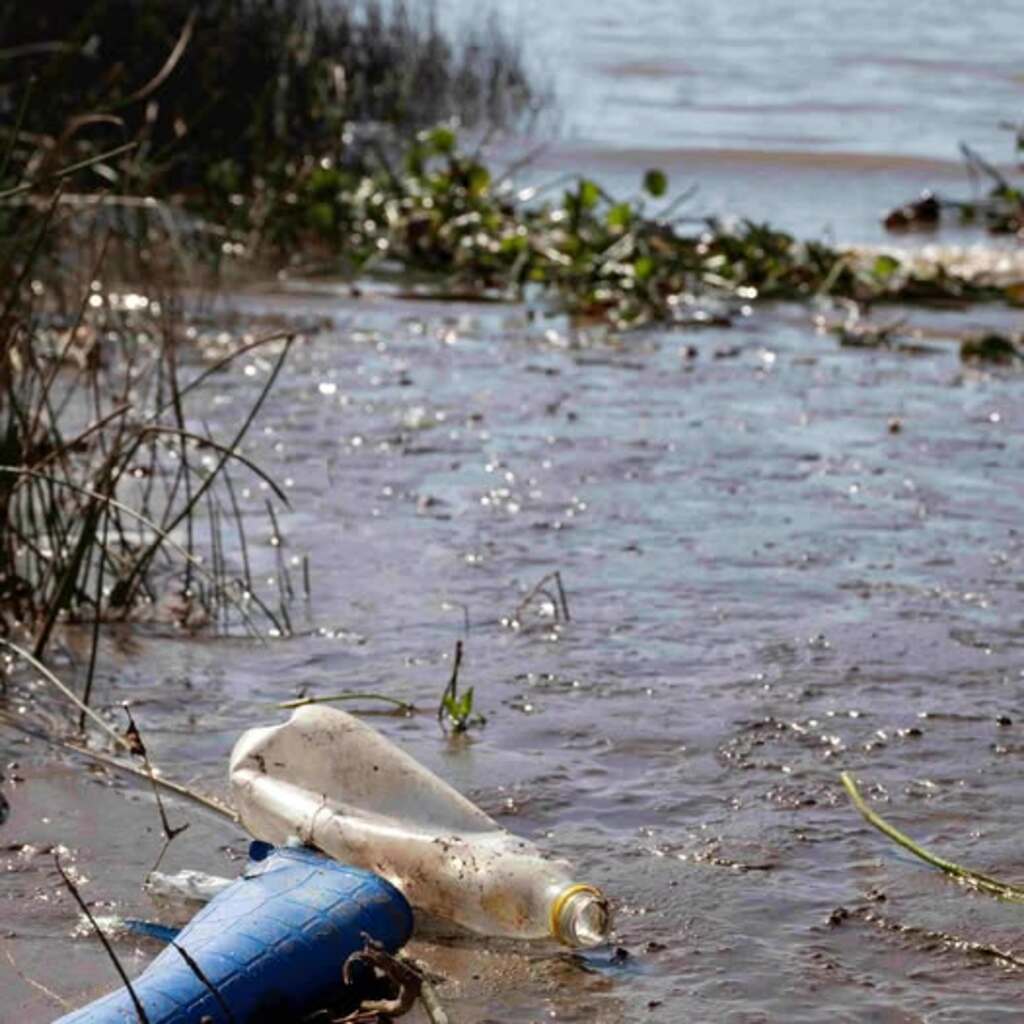 Esgoto no mar: impactos da falta de saneamento para os oceanos