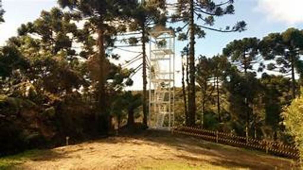 Dinheiro de multas ambientais garante torre de observação de aves em SC