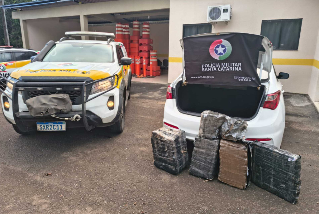 Operação conjunta resulta na apreensão de drogas na região