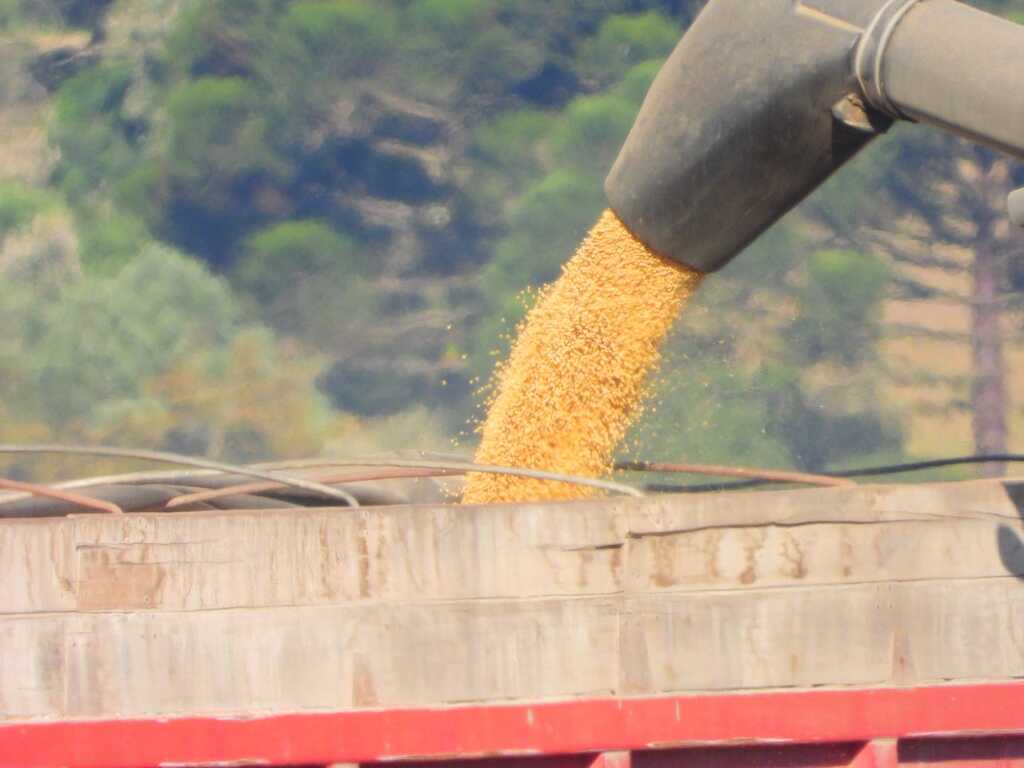 Vila Aparecida, 28 de março de 2026