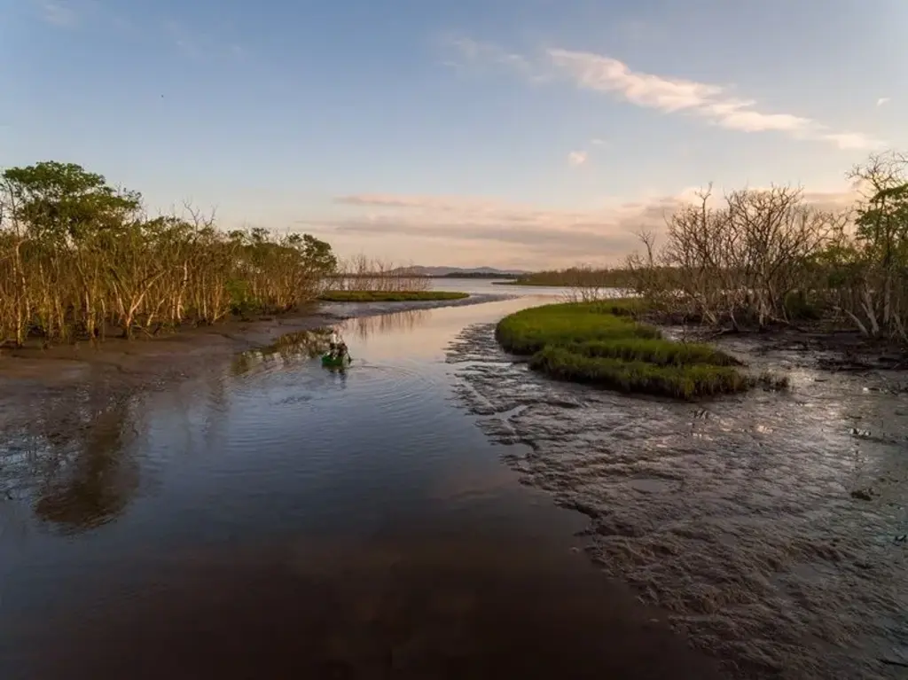 Educação ambiental nas escolas de Joinville ganha reforço com novo projeto de lei