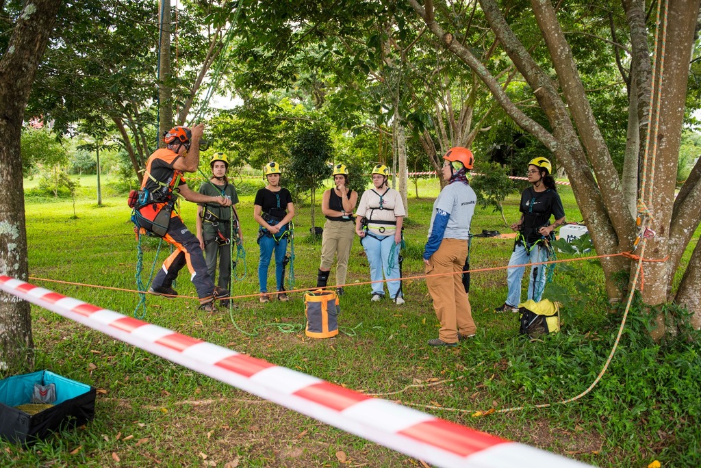 Arborização urbana ganha força no Sul com lei estadual e plano nacional