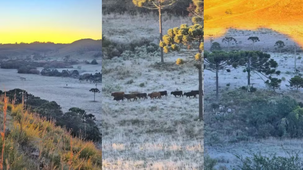 Imagem principal artigo